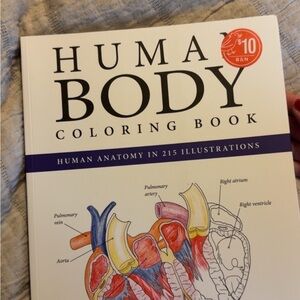 Barnes & Noble Human Body Coloring Book - Black, White, Red, Blue